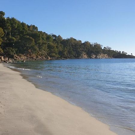 Chambre Independante Avec Jardin Privatif La Londe-les-Maures Kültér fotó