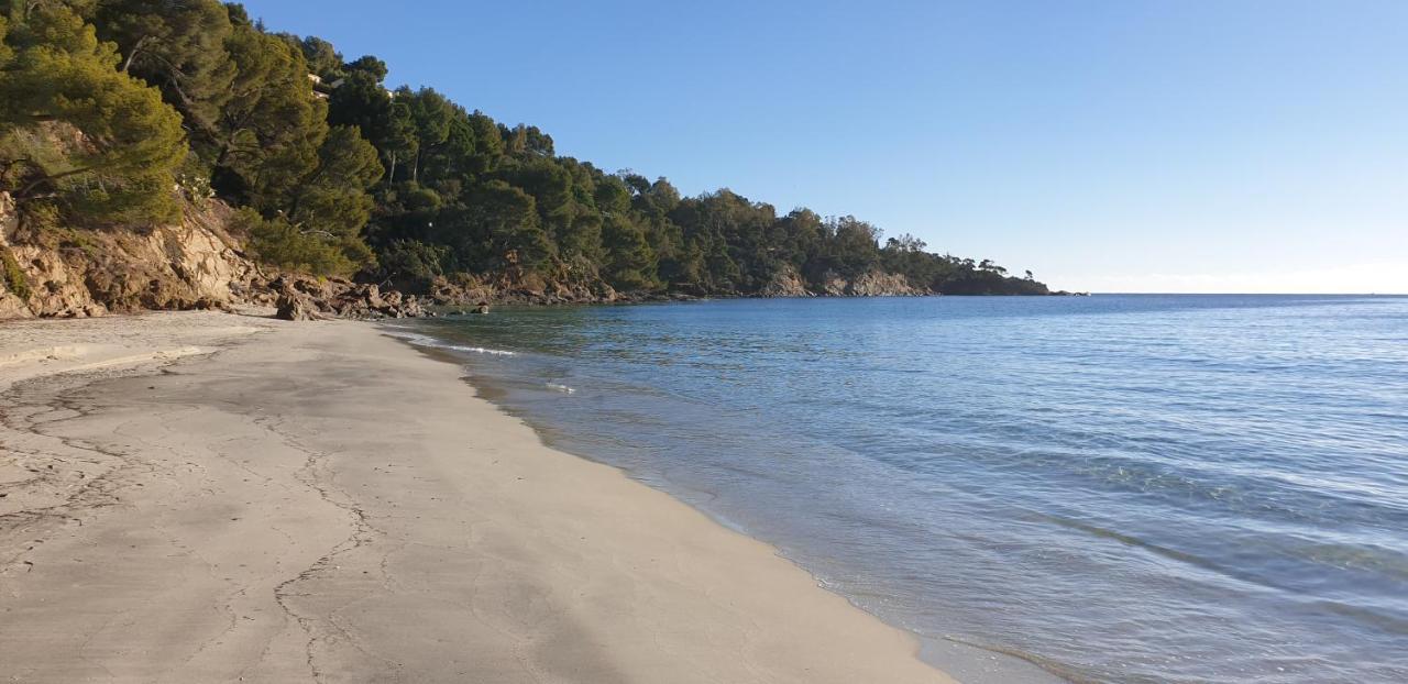 Chambre Independante Avec Jardin Privatif La Londe-les-Maures Kültér fotó
